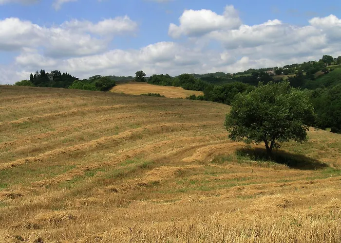 Azienda Agraria Montelujano