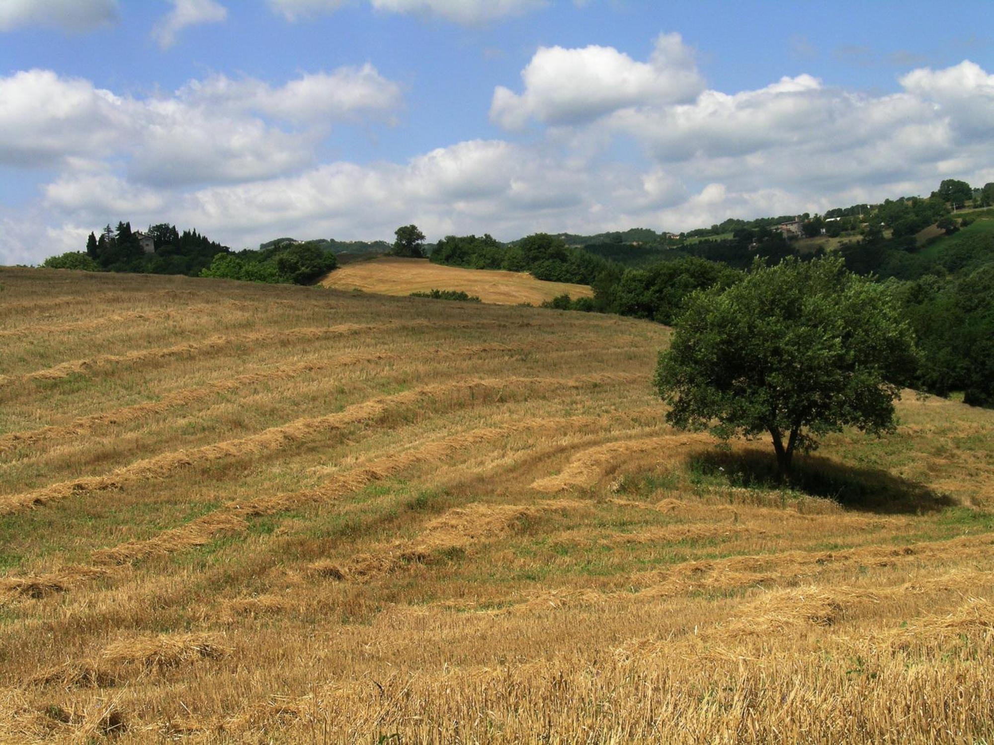 Farm stay Azienda Agraria Montelujano Gubbio
