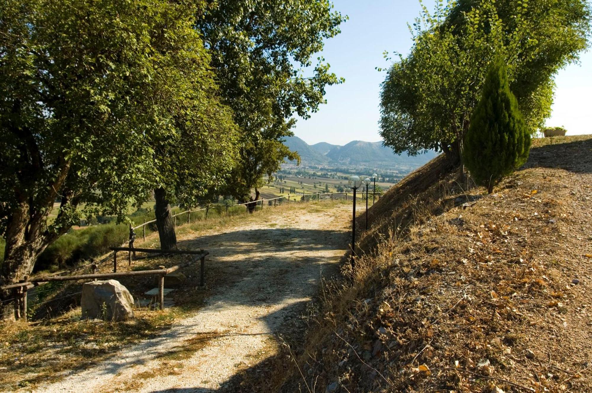 Azienda Agraria Montelujano