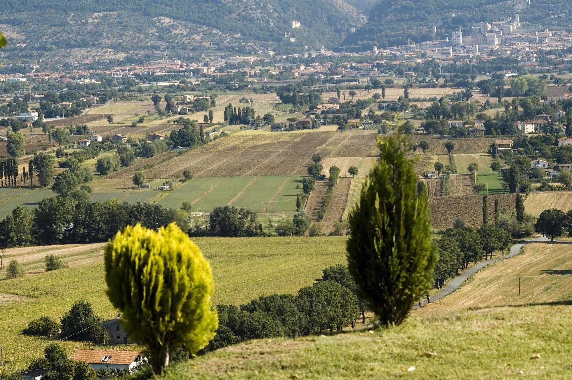 Azienda Agraria Montelujano Gubbio